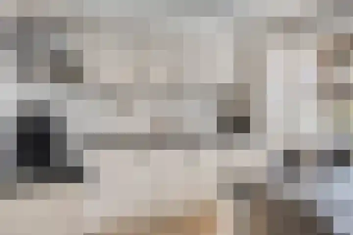 Sichtermanmarke 236 Zwolle thumbnail 13