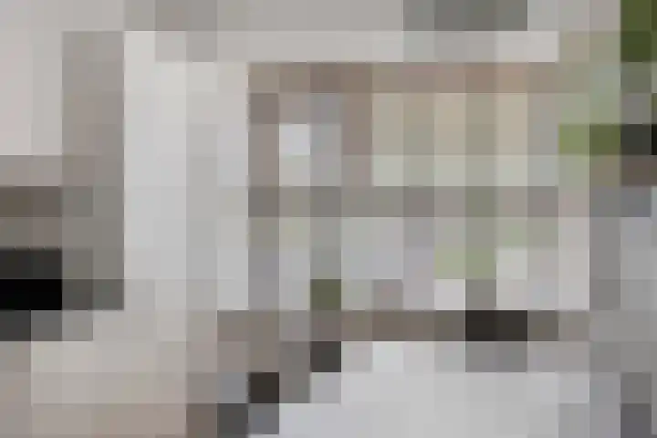 Sichtermanmarke 236 Zwolle thumbnail 14