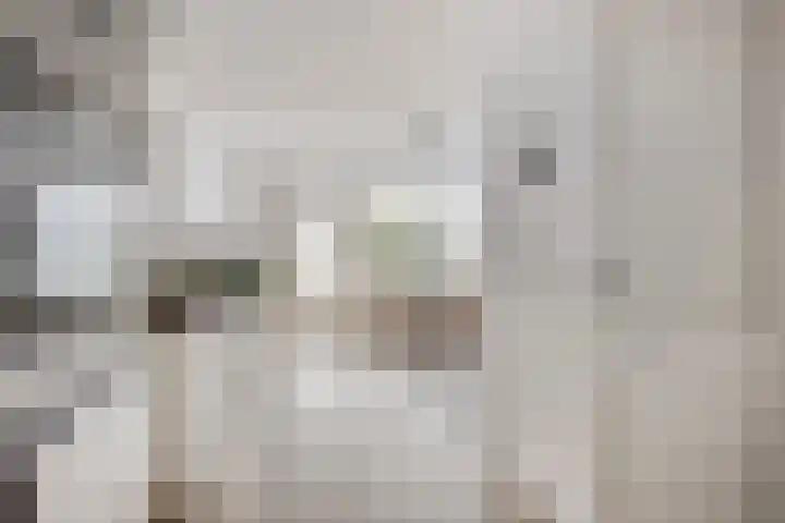 Sichtermanmarke 236 Zwolle thumbnail 15