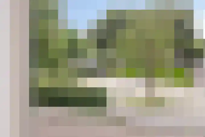 Sichtermanmarke 236 Zwolle thumbnail 21
