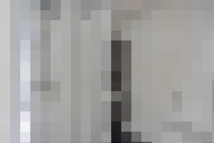 Sichtermanmarke 236 Zwolle thumbnail 24