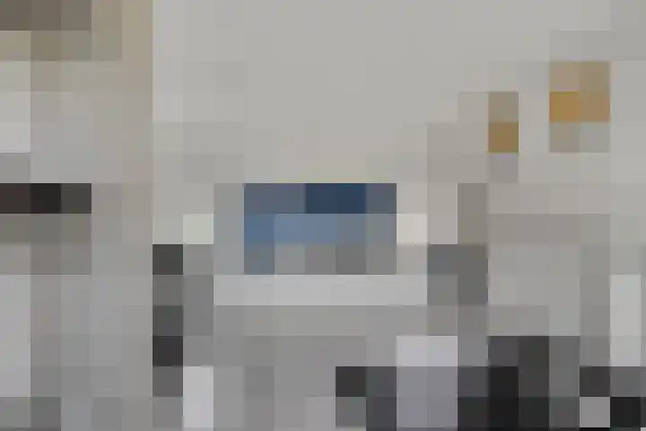 Sichtermanmarke 236 Zwolle thumbnail 28