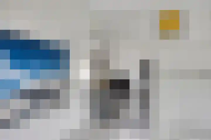 Sichtermanmarke 236 Zwolle thumbnail 30