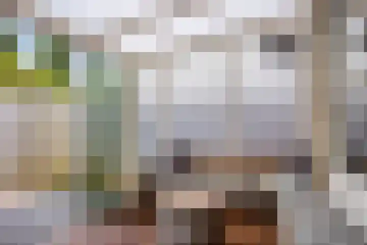 Sichtermanmarke 236 Zwolle thumbnail 31