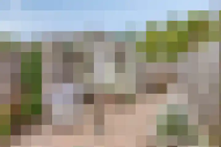 Sichtermanmarke 236 Zwolle thumbnail 33
