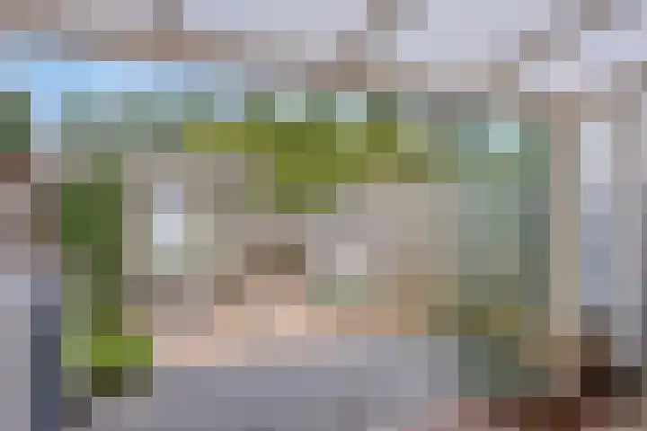 Sichtermanmarke 236 Zwolle thumbnail 34