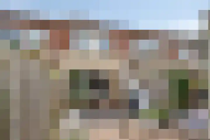 Sichtermanmarke 236 Zwolle thumbnail 36