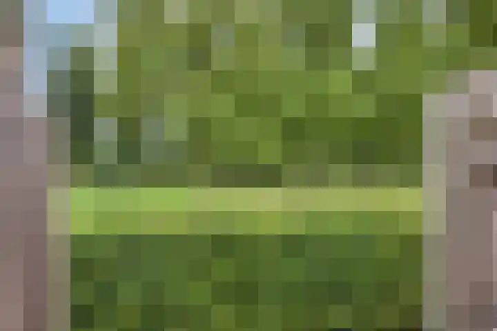 Sichtermanmarke 236 Zwolle thumbnail 38