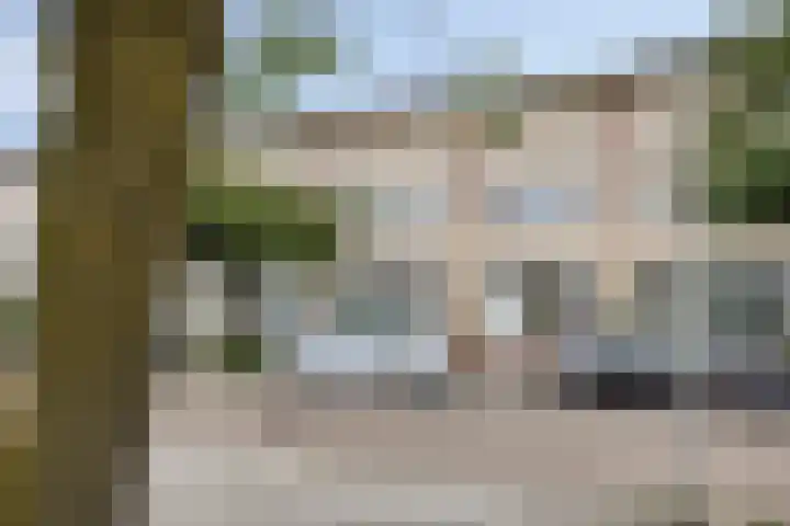 Sichtermanmarke 236 Zwolle thumbnail 39