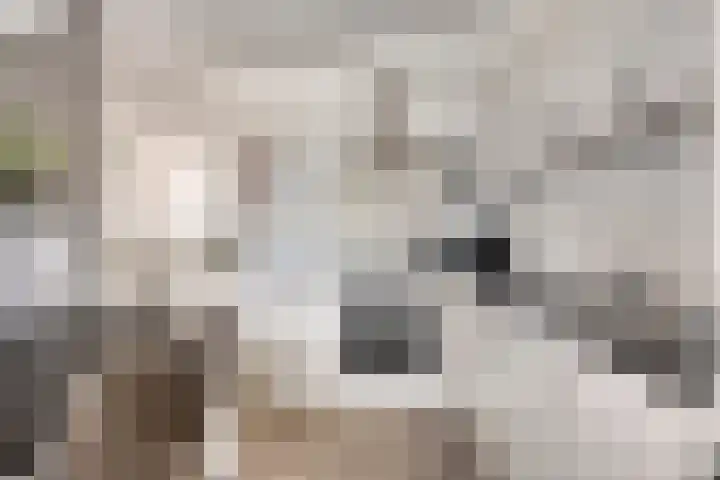 Sichtermanmarke 236 Zwolle thumbnail 4