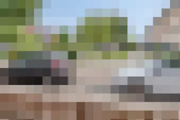 Sichtermanmarke 236 Zwolle thumbnail 41