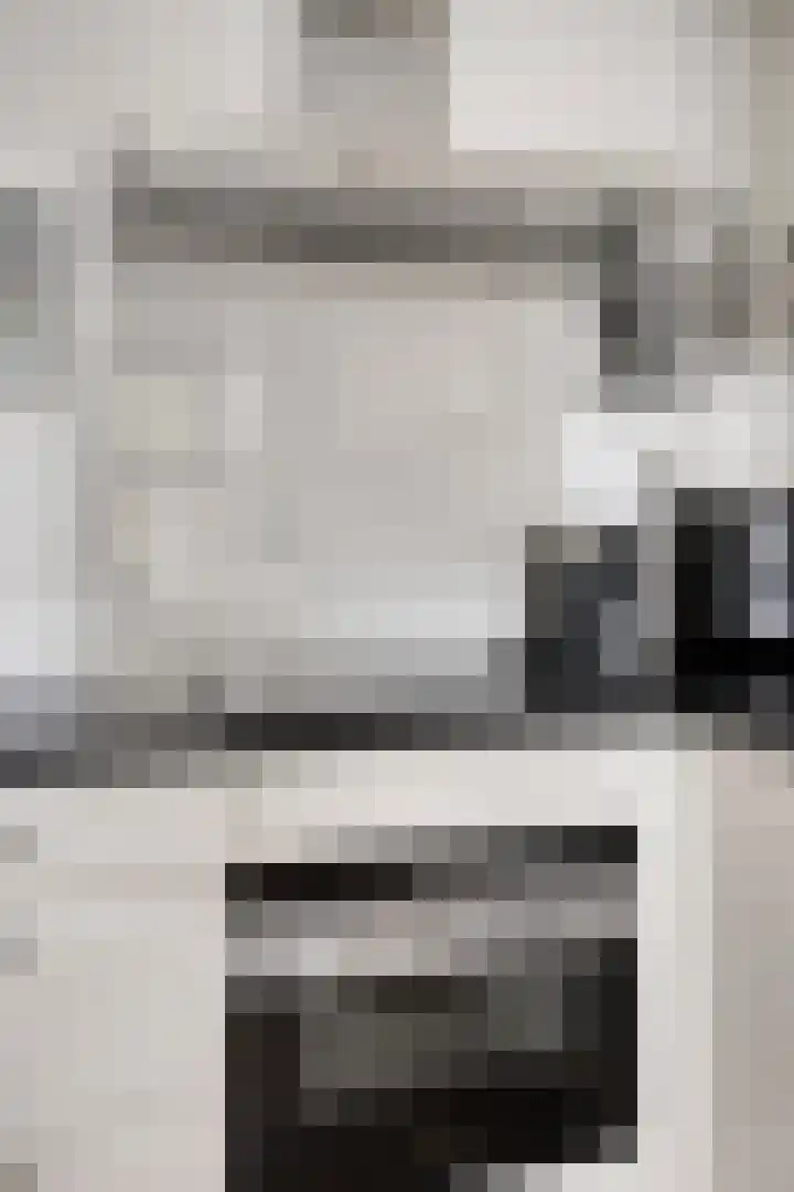 Sichtermanmarke 236 Zwolle thumbnail 7