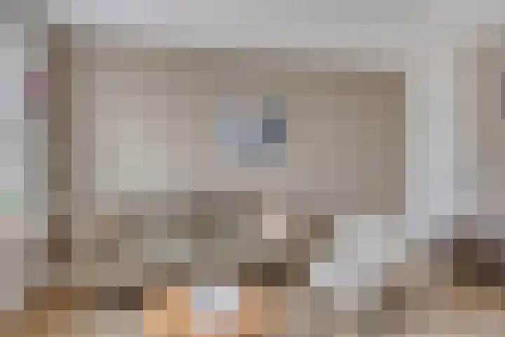 Sichtermanmarke 236 Zwolle thumbnail 9
