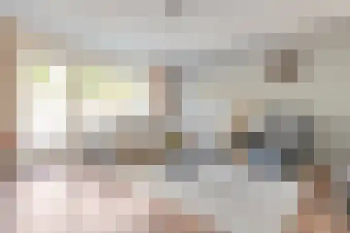 Sichtermanmarke 240 Zwolle thumbnail 10
