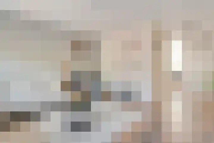 Sichtermanmarke 240 Zwolle thumbnail 11