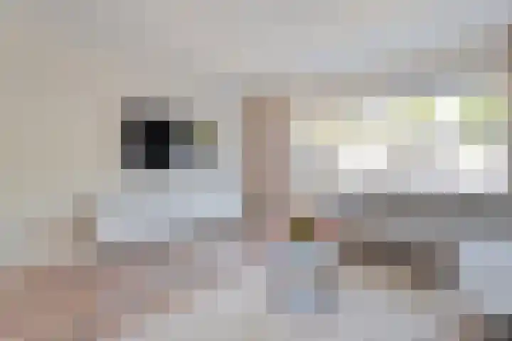 Sichtermanmarke 240 Zwolle thumbnail 12