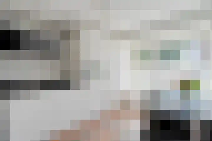 Sichtermanmarke 240 Zwolle thumbnail 14