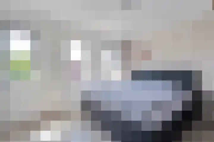 Sichtermanmarke 240 Zwolle thumbnail 19