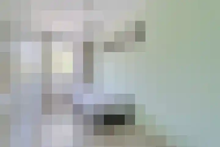 Sichtermanmarke 240 Zwolle thumbnail 21
