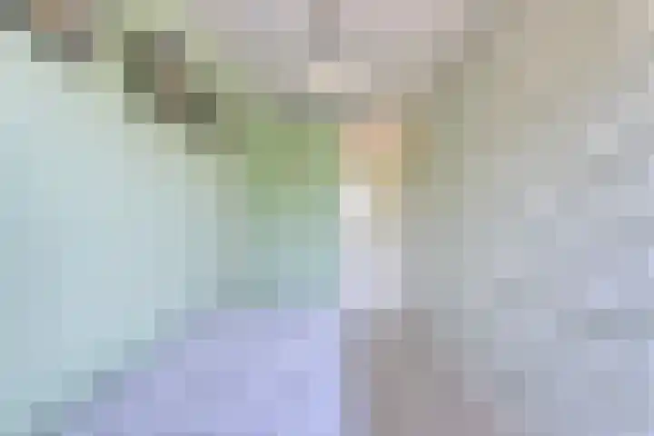 Sichtermanmarke 240 Zwolle thumbnail 22