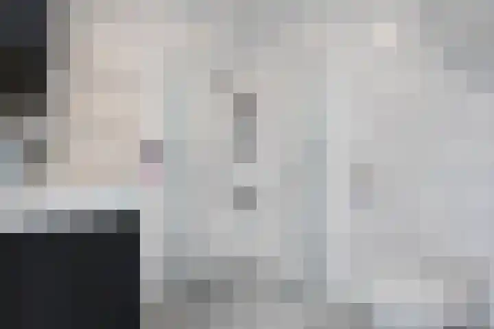 Sichtermanmarke 240 Zwolle thumbnail 25
