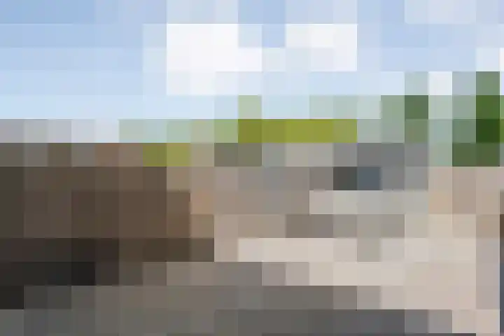 Sichtermanmarke 240 Zwolle thumbnail 28