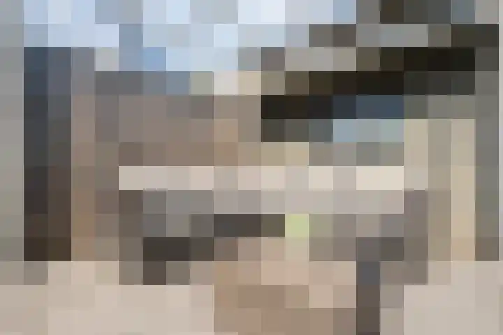 Sichtermanmarke 240 Zwolle thumbnail 29