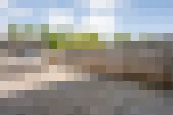 Sichtermanmarke 240 Zwolle thumbnail 31