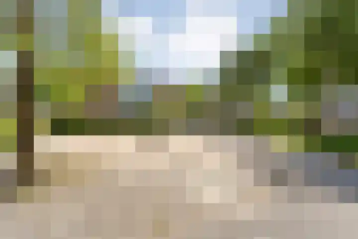 Sichtermanmarke 240 Zwolle thumbnail 33