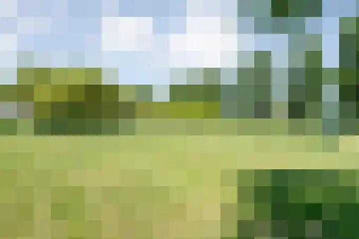 Sichtermanmarke 240 Zwolle thumbnail 34