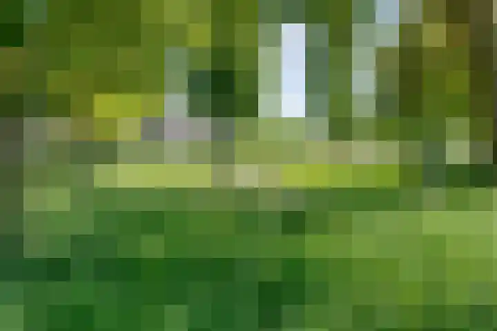 Sichtermanmarke 240 Zwolle thumbnail 35