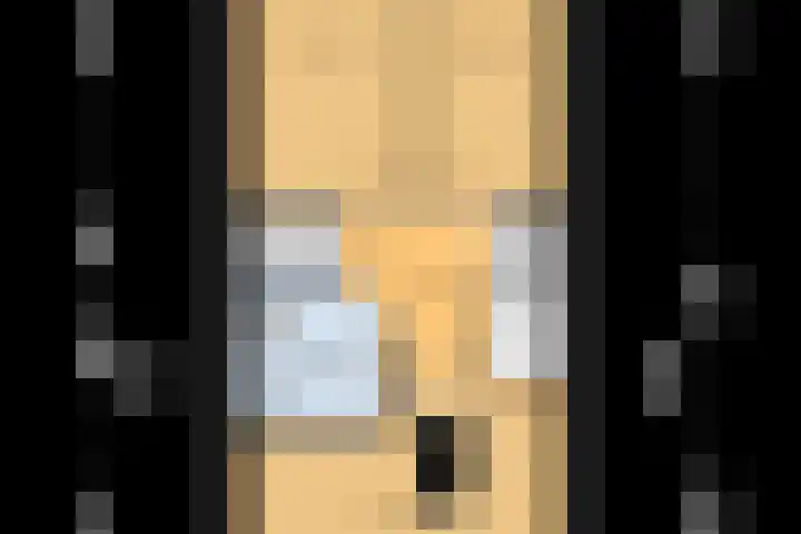 Sichtermanmarke 240 Zwolle thumbnail 37