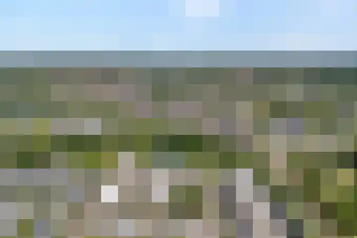 Sichtermanmarke 240 Zwolle thumbnail 4