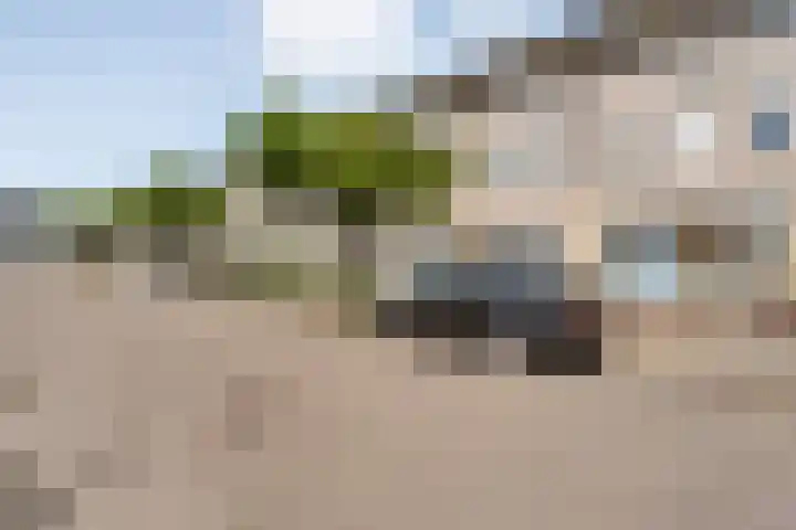 Sichtermanmarke 240 Zwolle thumbnail 6