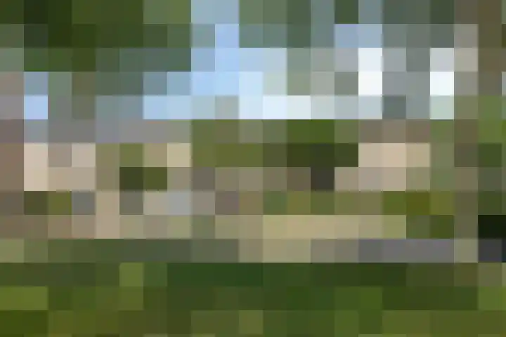 Sichtermanmarke 74 Zwolle thumbnail 22