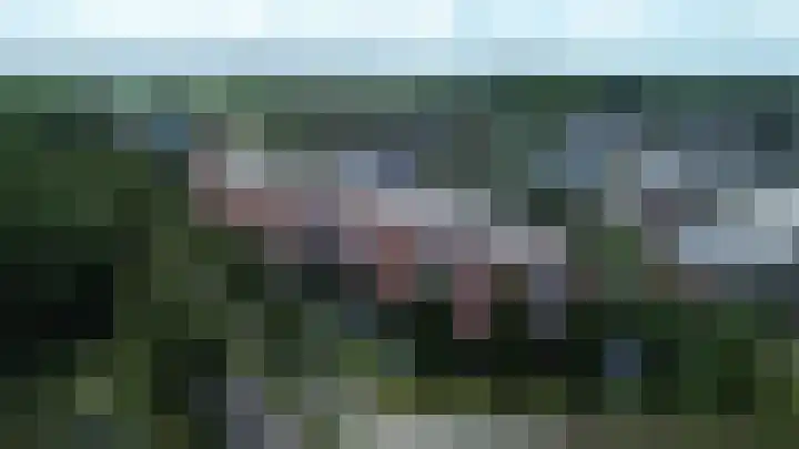 Sichtermanmarke 74 Zwolle thumbnail 23