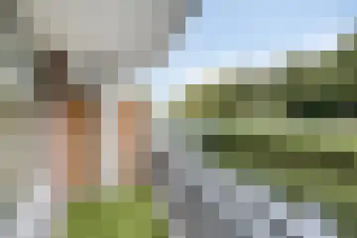 Sichtermanmarke 74 Zwolle thumbnail 4