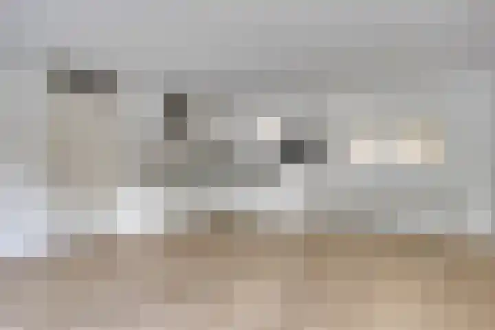 Sichtermanmarke 74 Zwolle thumbnail 5