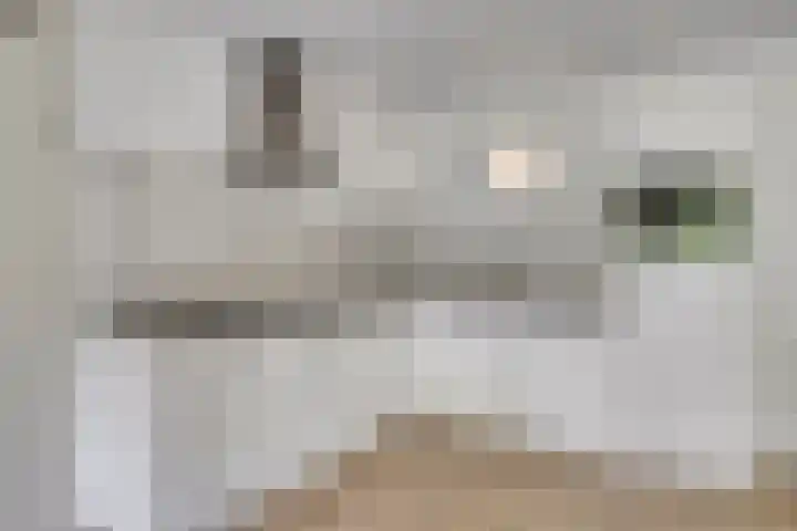 Sichtermanmarke 74 Zwolle thumbnail 7