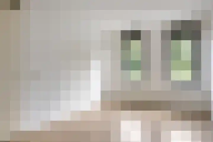 Sichtermanmarke 74 Zwolle thumbnail 8