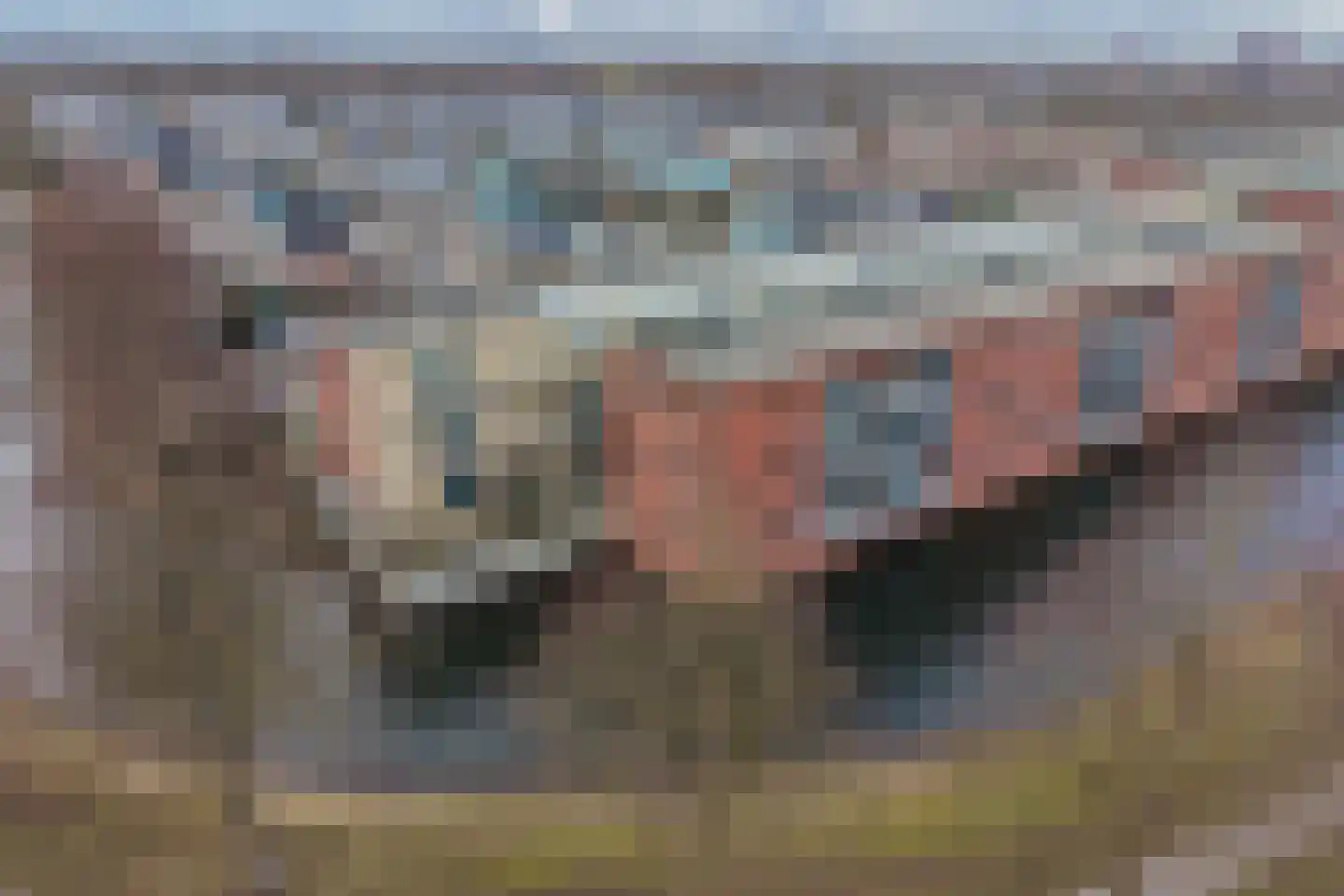 Sichtermanmarke 80 Zwolle thumbnail 26