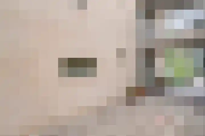 Sichtermanmarke 82 Zwolle thumbnail 11