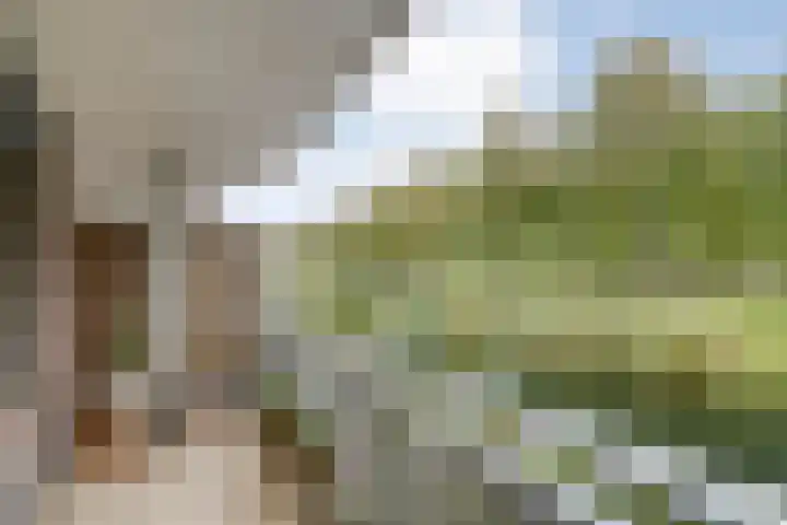 Sichtermanmarke 82 Zwolle thumbnail 26