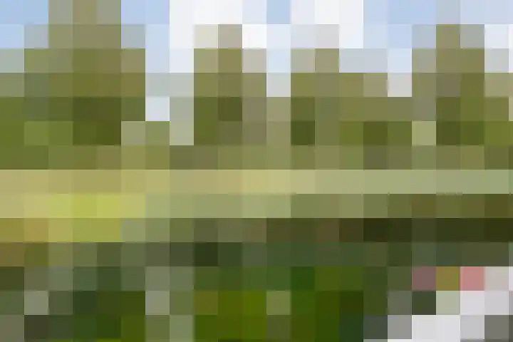 Sichtermanmarke 82 Zwolle thumbnail 28