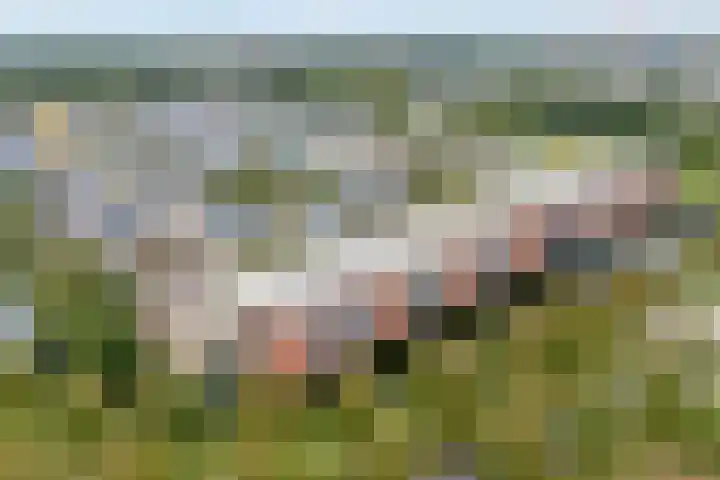 Sichtermanmarke 82 Zwolle thumbnail 4