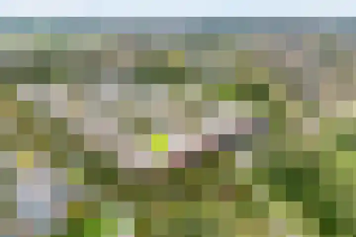 Sichtermanmarke 82 Zwolle thumbnail 5