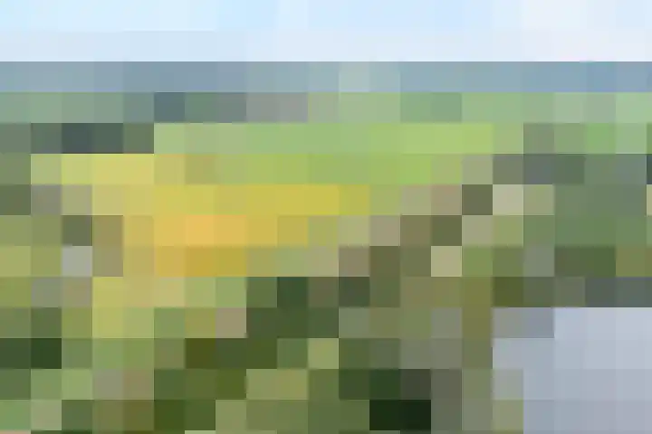 Sichtermanmarke 82 Zwolle thumbnail 6