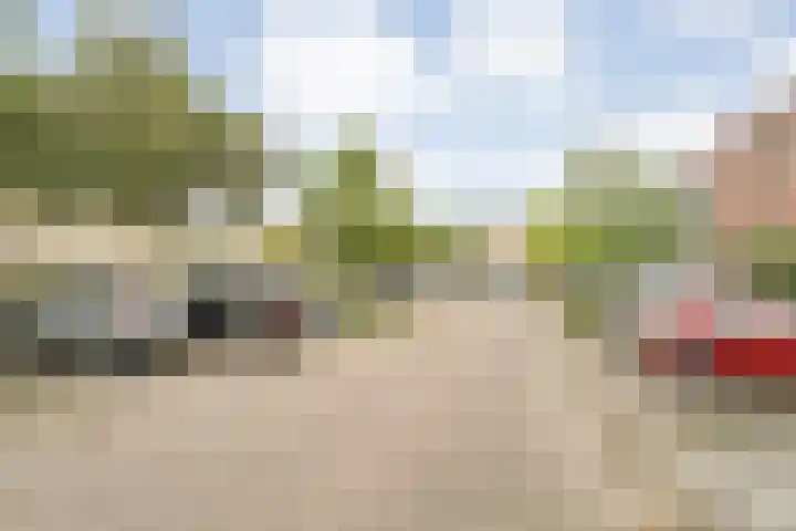 Sichtermanmarke 82 Zwolle thumbnail 8