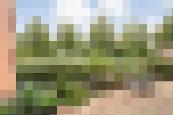 Sichtermanmarke 82 Zwolle thumbnail 9