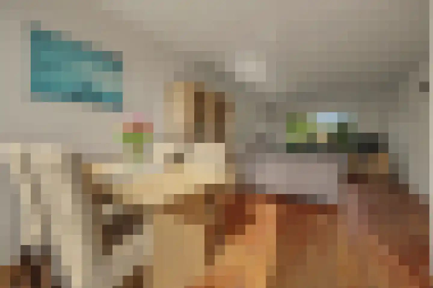 Sichuytdam 19 Rilland thumbnail 12